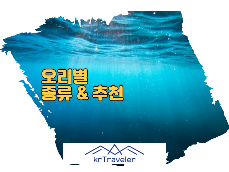 오리발 추천 종류 썸네일